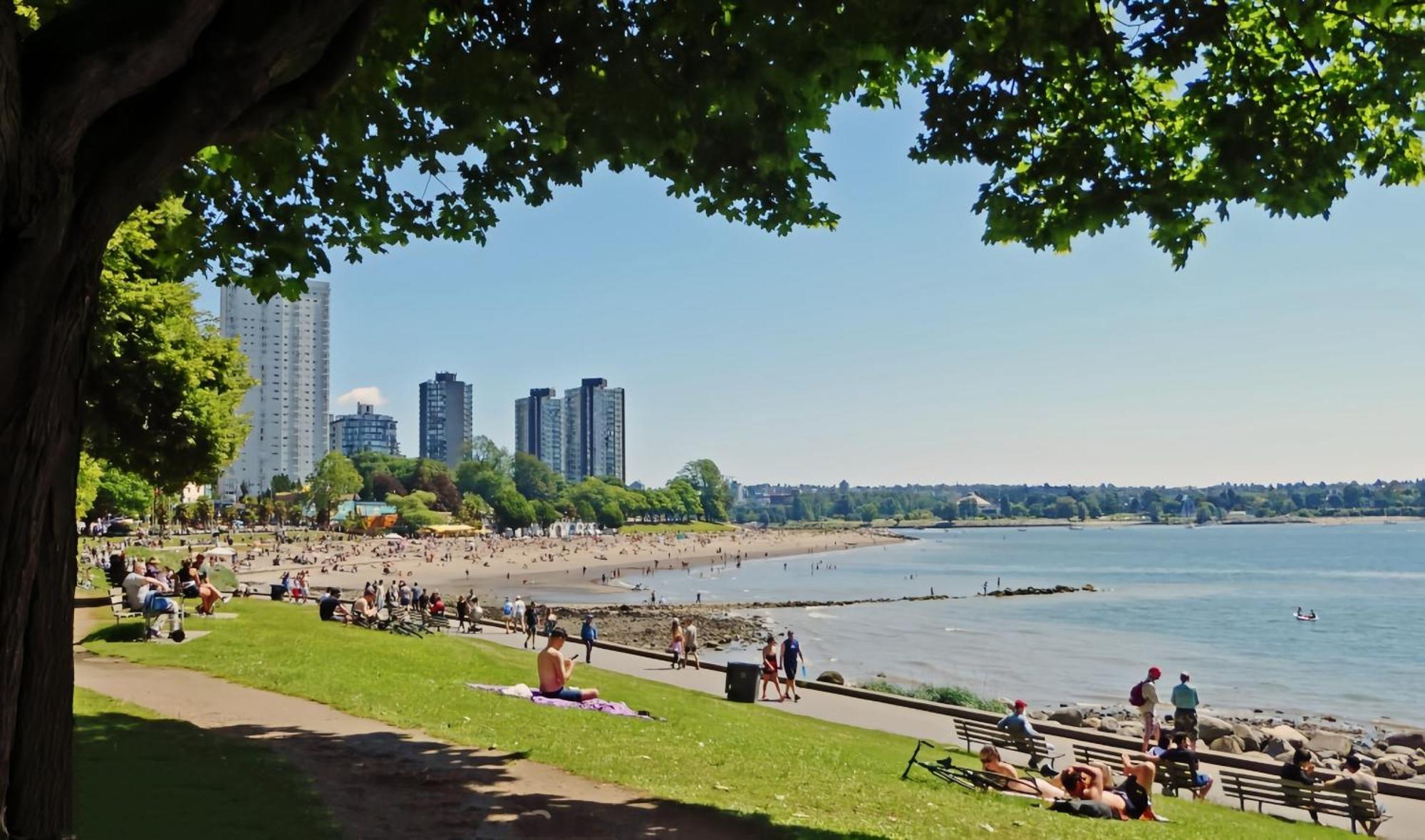A Gentle Hideaway In The Urban Forest West End Downtown Apartment Vancouver